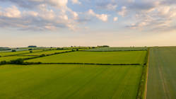 Agricultural Quarterly Update Jul-Sep 2023
