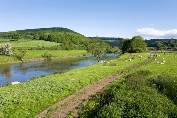 Welsh Government confirms Sustainable Farming Scheme – launching January 2026