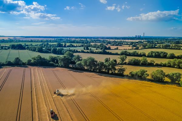 How Brown&Co delivered farmer support at scale to aid sector change