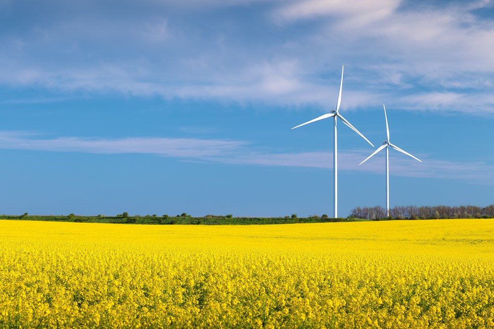 View of wind farm across oilseed rape field