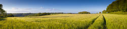 Defra closes the Sustainable Farming Incentive scheme to new applications