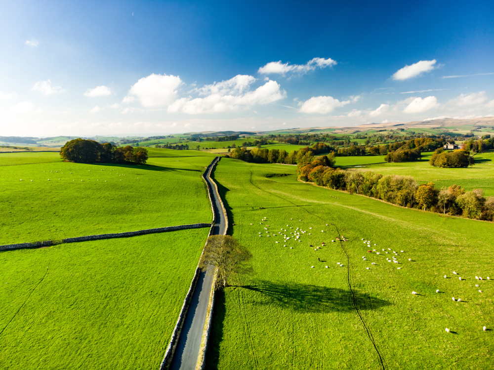 Green fields in UK countryside