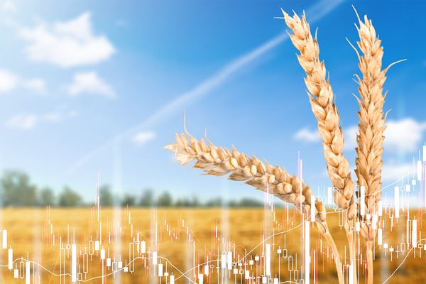 Budgeting and cashflow forecasting puts farm businesses on the front foot